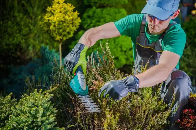 landscaping services Lake Darby